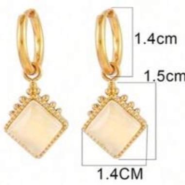 Bella Earrings- Stainless steel hoop earrings